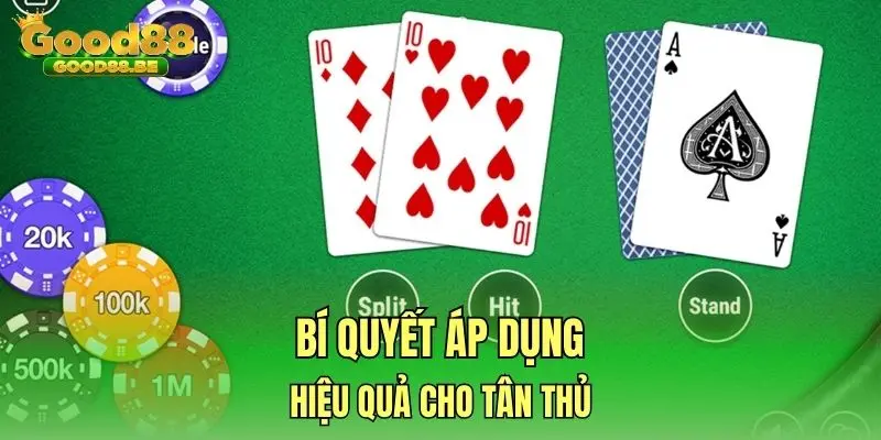 Bí quyết áp dụng hiệu quả cho tân thủ