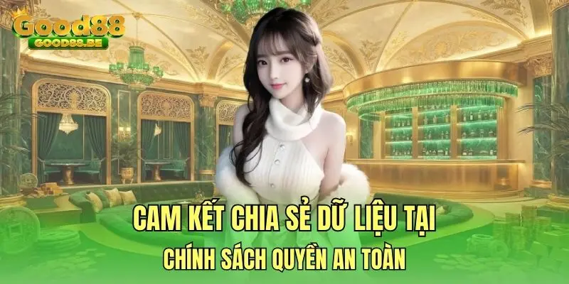 Cam kết chia sẻ dữ liệu tại chính sách quyền an toàn