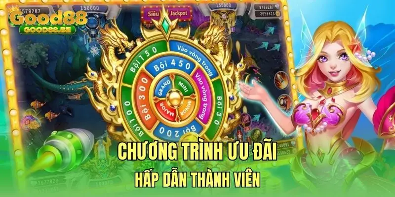 Chương trình ưu đãi hấp dẫn thành viên