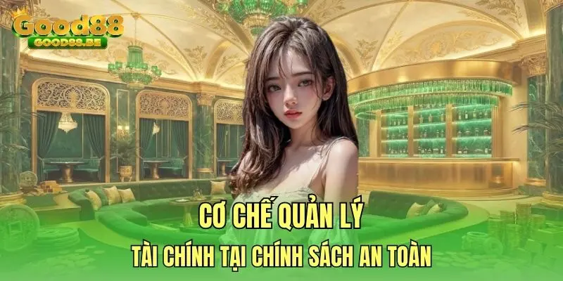 Cơ chế quản lý tài chính tại chính sách an toàn