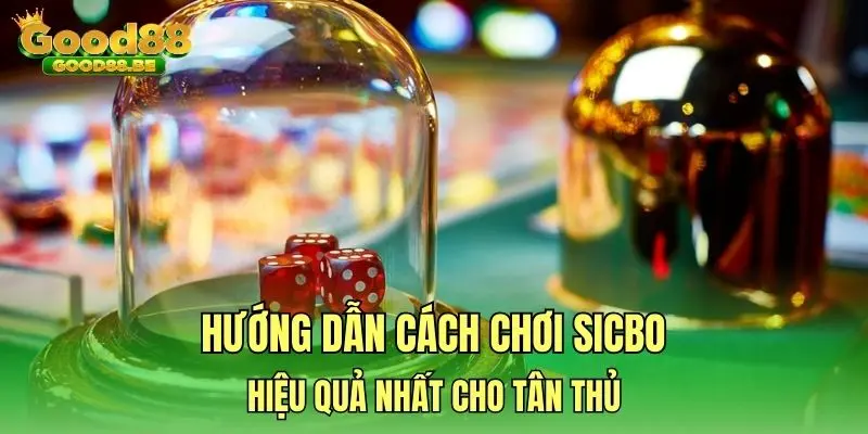 Hướng dẫn cách chơi Sicbo hiệu quả nhất cho tân thủ