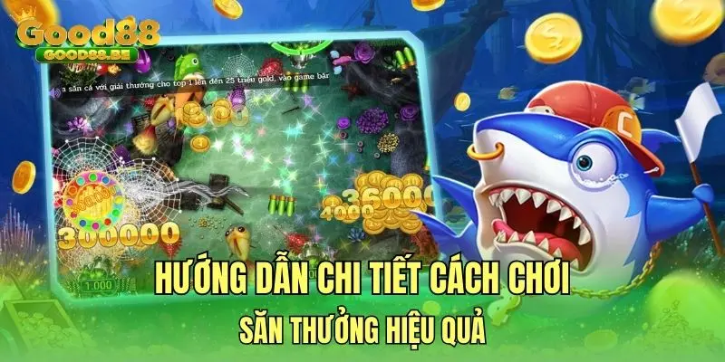 Hướng dẫn chi tiết cách chơi săn thưởng hiệu quả