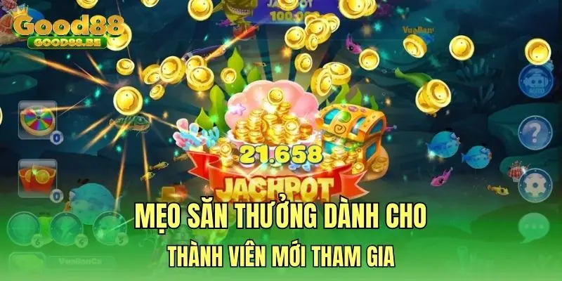 Mẹo săn thưởng dành cho thành viên mới tham gia