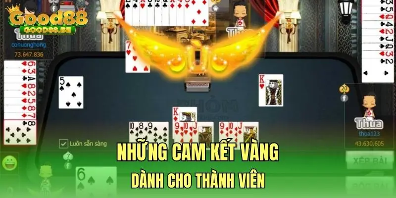 Những cam kết vàng dành cho thành viên